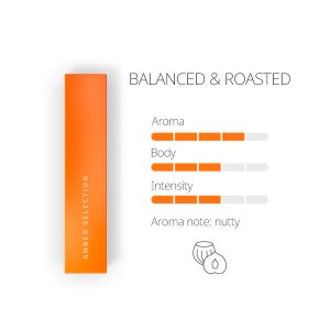 Heets For IQOS Amber Label-1